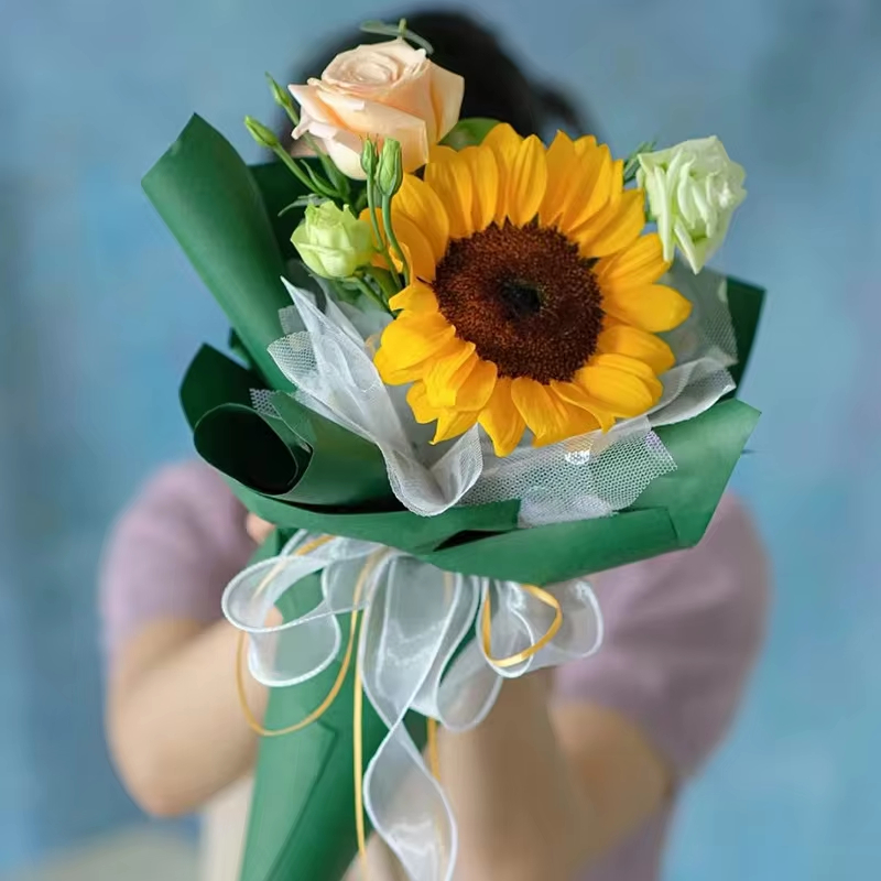 10 yards/rol doorschijnend chi - Ribbon Organza Roll recensie en prijs